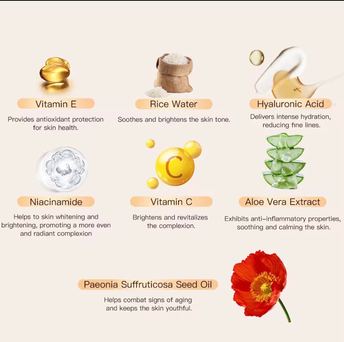 Korean Skin Care-OJENSY 4-Step Natural Skincare Set - Image 2