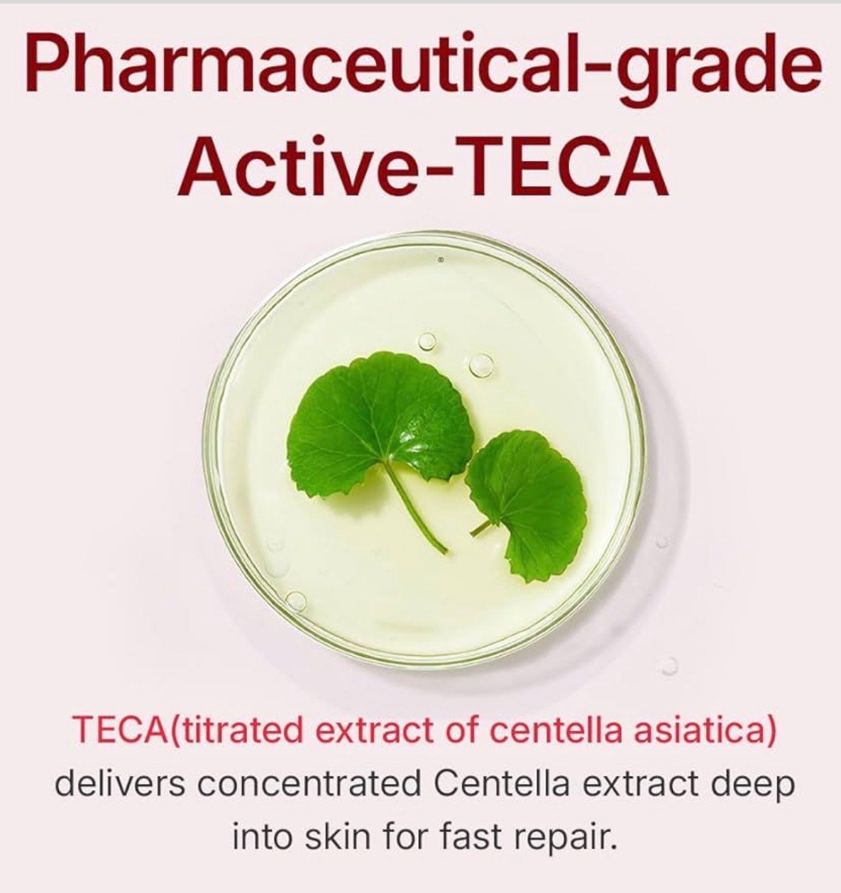 Korean Skincare Madeca Cream – Time Reverse Dermatological Heritage Since 1968 (50ml) - Image 5